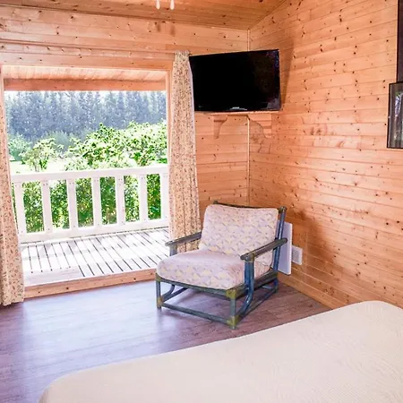 Chalets 1 Mesange Bleue Roquebrune Sur Argens 로크부른수르알젠스