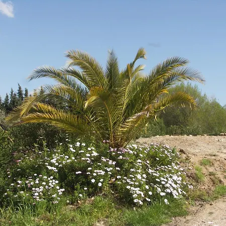 Chalets 1 Mesange Bleue Roquebrune Sur Argens 로크부른수르알젠스