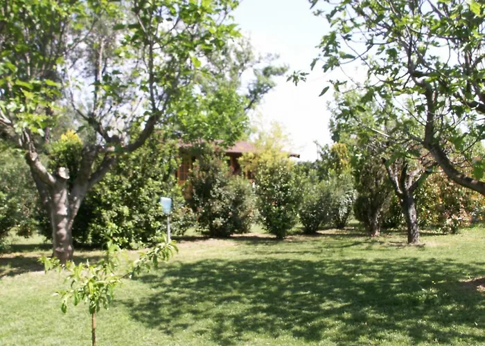 Chalets 1 Mesange Bleue Roquebrune Sur Argens Шале