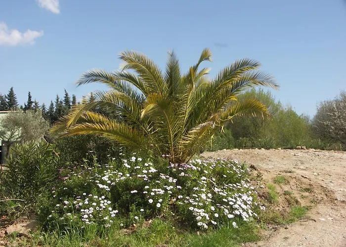 Chalets 1 Mesange Bleue Roquebrune Sur Argens Рокбрюн-сюр-Аржан
